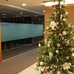 IP CCTV Installation